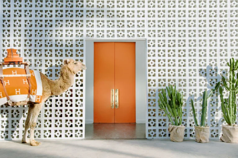 Gray Malin camel with Hermes blanket standing outside hotel